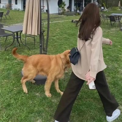 狂沙十万里